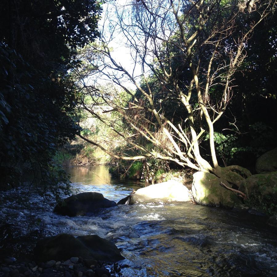 Punehu Stream Cottage Opunake Exteriér fotografie